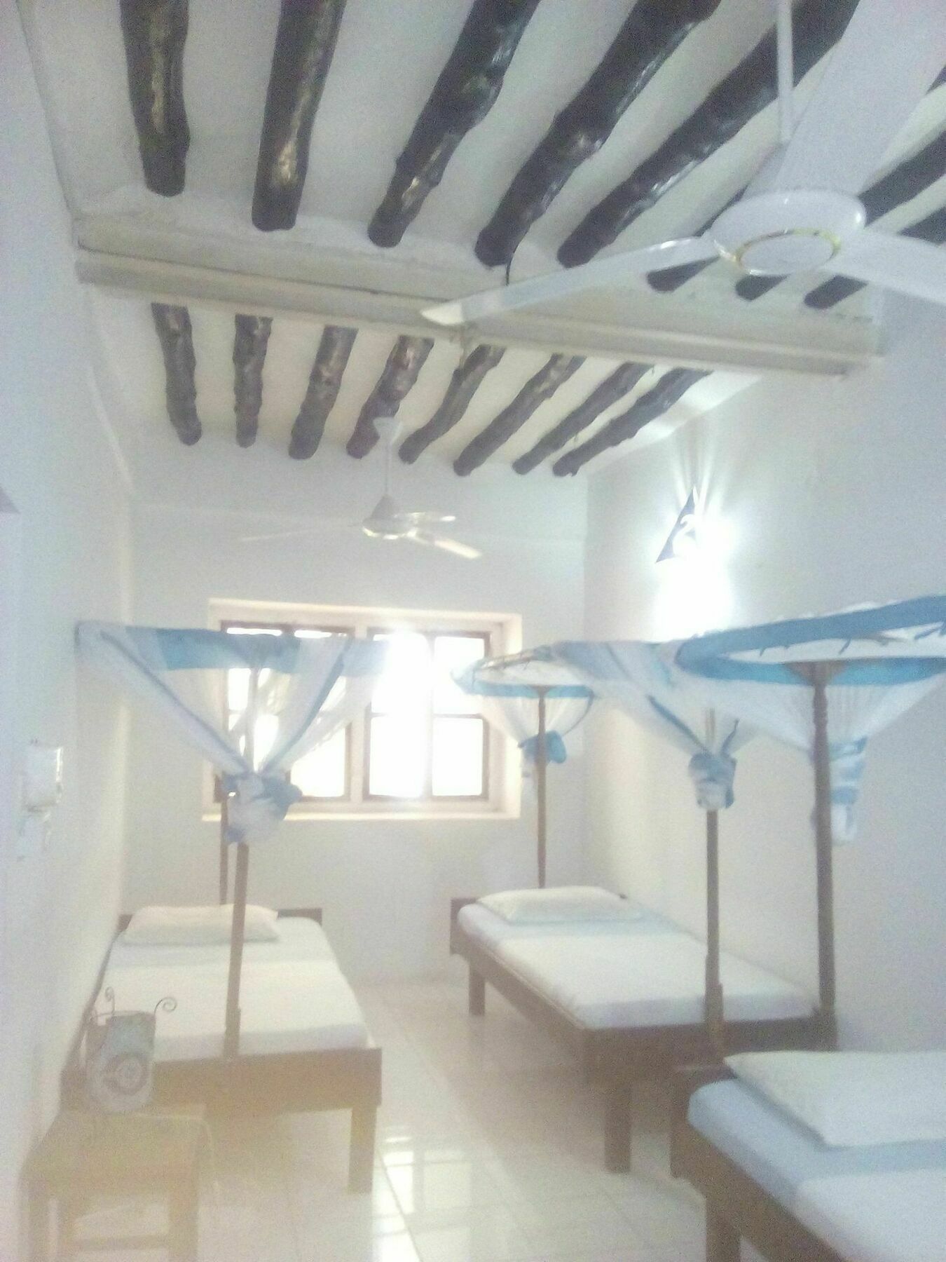 Kiponda B&B Zanzibar Exteriér fotografie